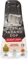Queso italiano de vaca DOP Grana Padano