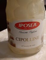 Cipolline