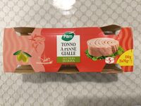 Tonno a pinne gialle all'olio di oliva