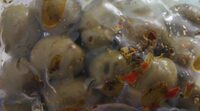 Olive verdi condite