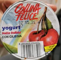Yogurt