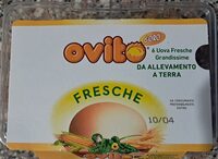 Ovito 6 uova fresche grandissime