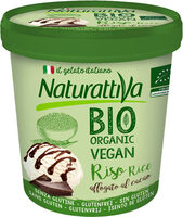 Rice ice-cream bio organic vegan without gluten