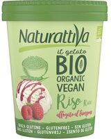 Gelato Riso Lampone