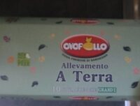 Uova
