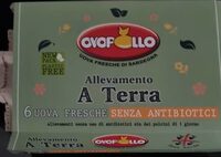 Uova fresche allevate a terra