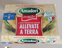 Uova fresche