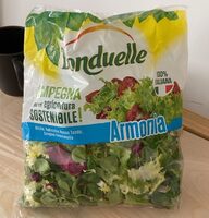 Insalata Riccia, Radicchio Rosso Tondo, Songino Valerianella