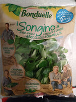 Songino