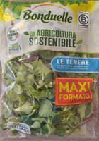 Insalata le tenere