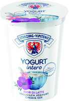 Yogurt intero - 500g - Fior di latte