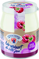 Yogurt biologico intero da latte fieno STG senza lattosio - 150g - lampone