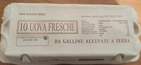 Uova fresche