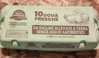 Uova allevate a terra senza antibiotici
