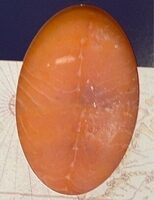 Salmone norvegese