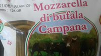 Mozzarella di bufala campana