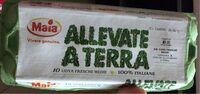 Uova allevate a terra