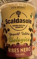 Yogurt Intero Biologico Ribes Neri