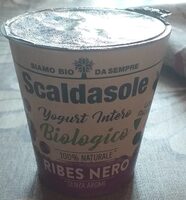 Yoghurt bianco biologico ribes nero