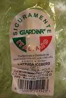 Lattuga Iceberg