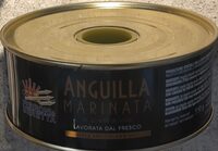 Anguilla marinata