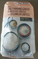 Sale marino grigio alimentare grosso dell'oceano Atlantico