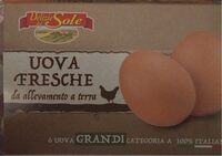 Uova fresche da allevamento a terra