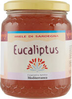 Eucaliptus