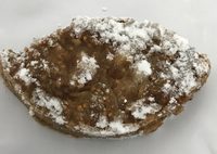 Panforte fichi e noci