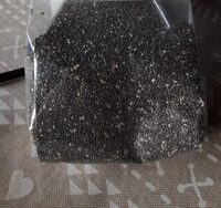 Chia