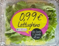 Lattughino