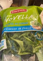 Insalata novella