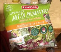 Insalta mista promavera