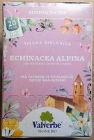 Echinacea Alpina