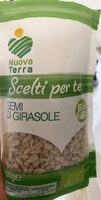 Semi di girasole