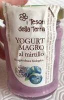 Yogurt magro al mirtillo