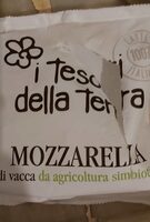 Mozzarella