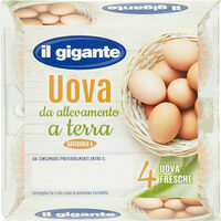 Uova da allevamento a terra uova