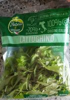 Lattughino