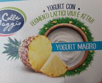 Yogurt Magro