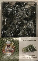 Catalogna lessata