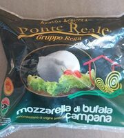 Mozzarella di bufala