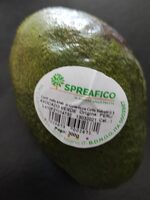 Avocado verde
