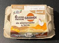 6 uova fresche grandi da allevamento a terra