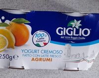 Yogurt cremoso fatto con latte fresco