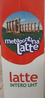 Metapontina latte