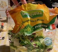 Terra e vita insalate