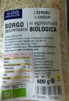 Sorgo