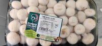 Funghi prataioli coltivati