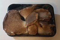 Funghi coltivati cardoncello